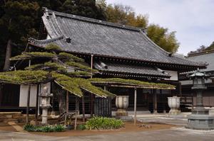 高柳山善龍寺の本堂の写真