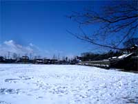雪に覆われた芝生地（冬）の写真