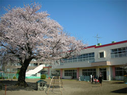 桜台保育園の画像