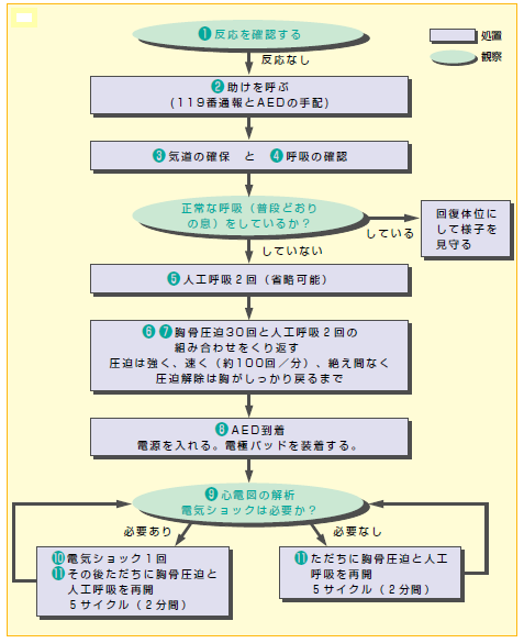 心肺蘇生法手順