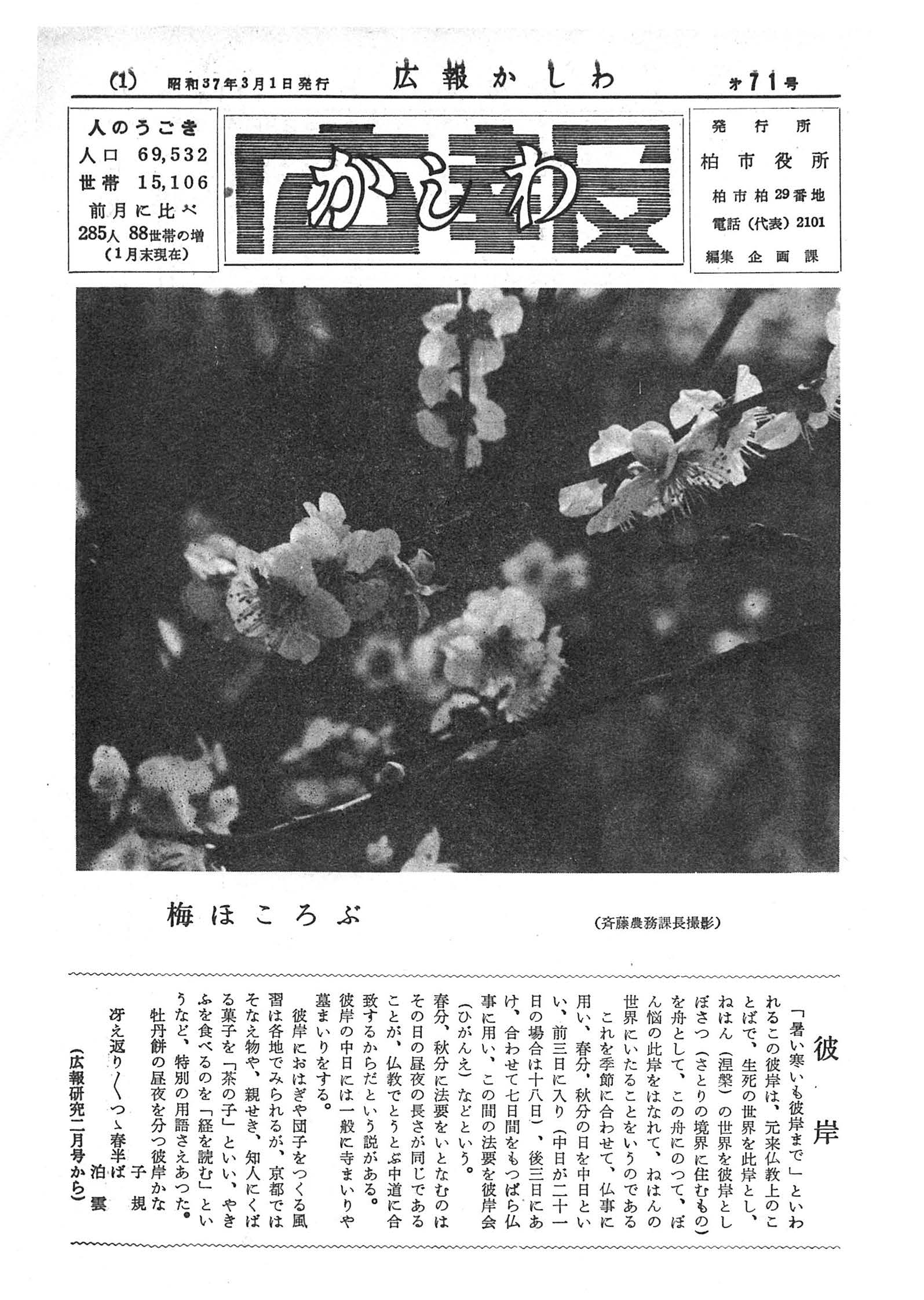 広報かしわ　昭和37年3月1日発行　71号