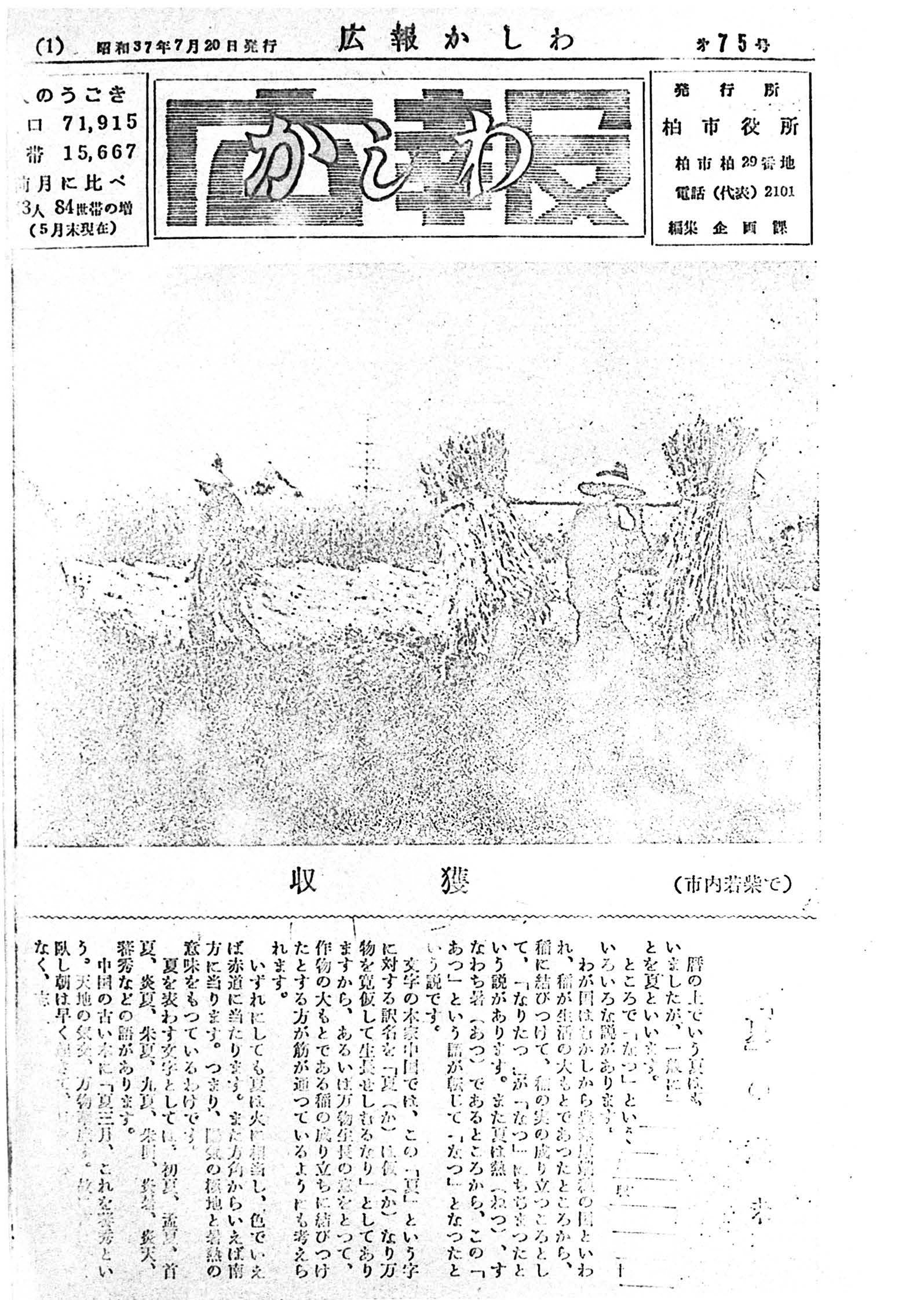 広報かしわ　昭和37年7月20日発行　75号