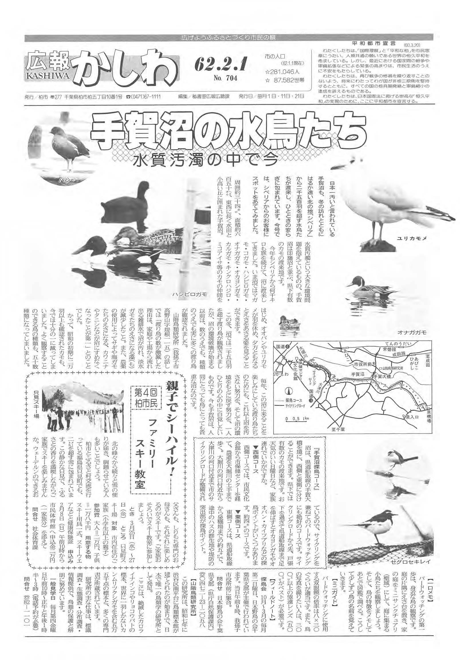 広報かしわ　昭和62年2月1日発行　704号