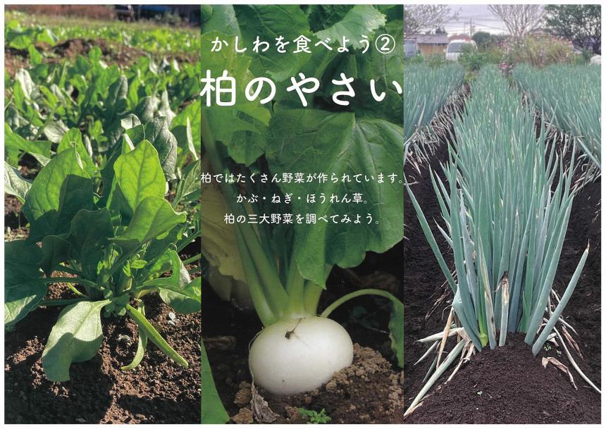 やさい