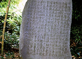大沼枕山碑の写真