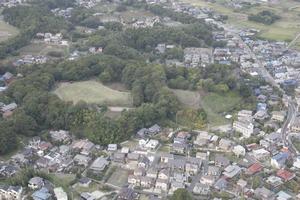 臼井城航空写真