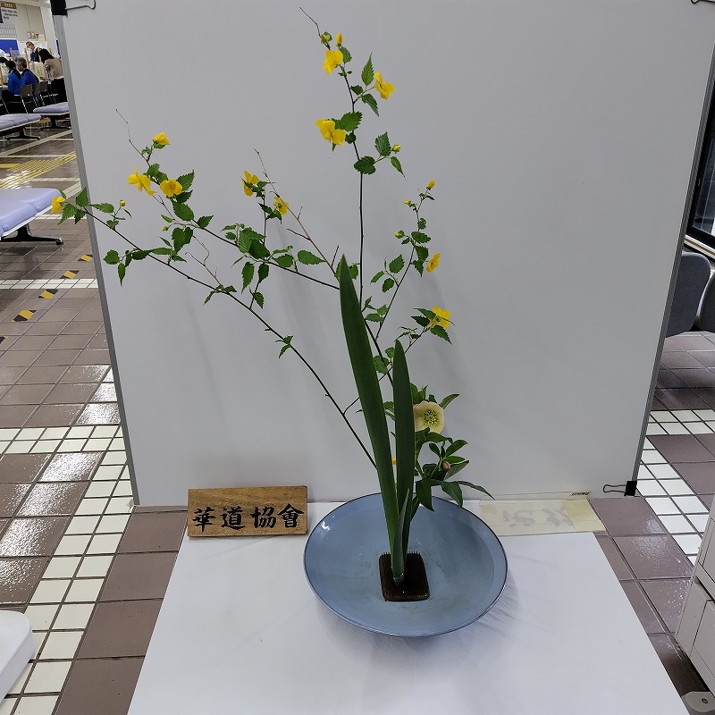 華道協会お花