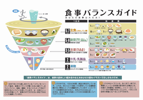 食事バランス