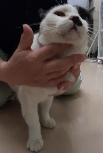 黒白3