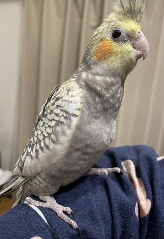 他逸走3番