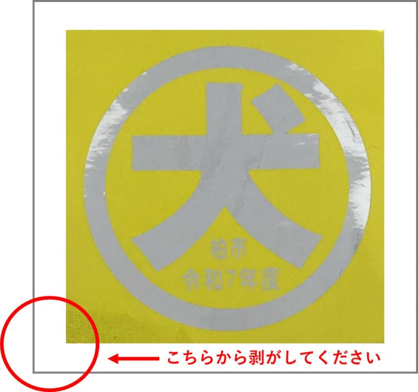 門票シール