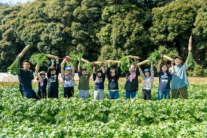 daikon