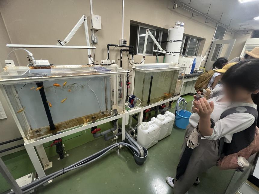 水質検査室の金魚