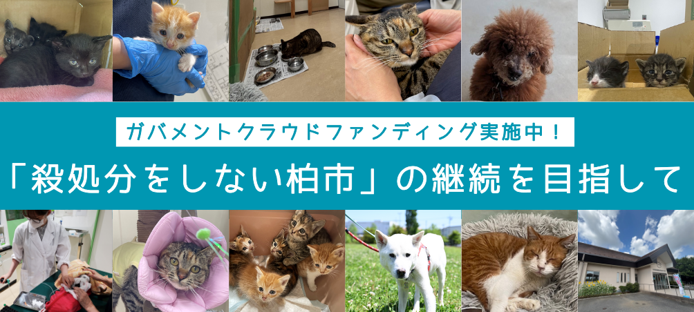 開催終了】生誕88年 早川義孝展 | 柏市