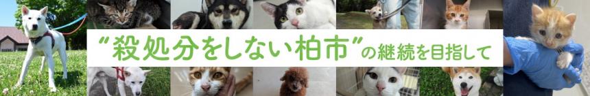 バナー