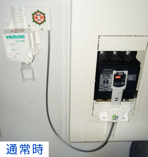 ヤモリデセット