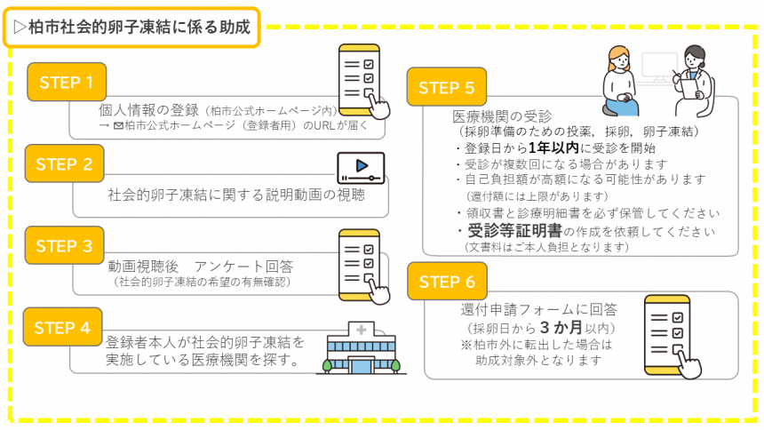 卵子凍結費用助成説明イラスト
