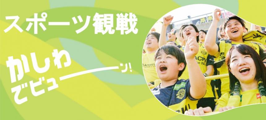 スポーツ観戦