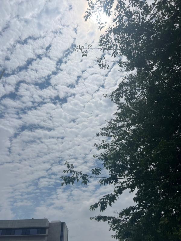空の写真