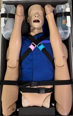 収納された高度シミュレーション人形