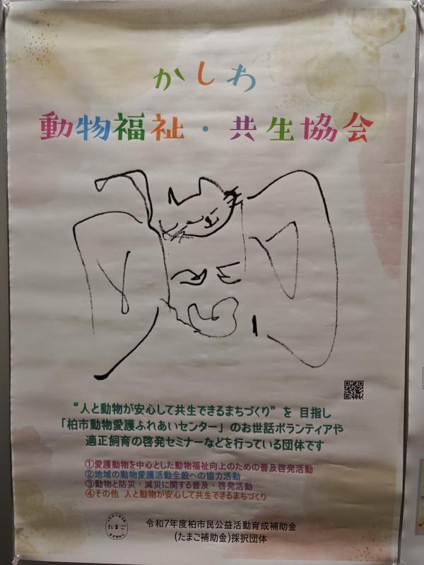 4.かしわ動物福祉・共生協会