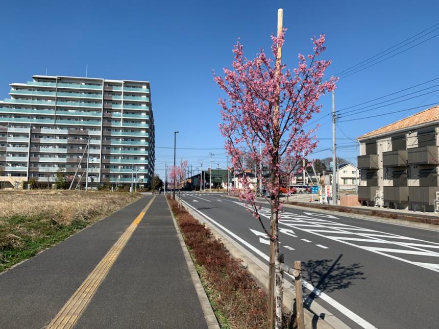 水と緑のネットワーク