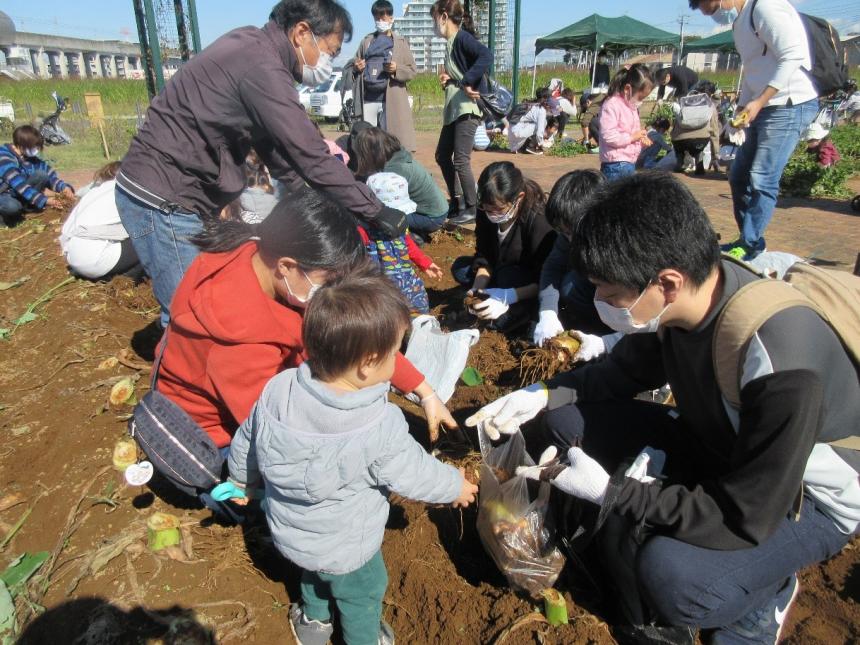 子ども収穫体験