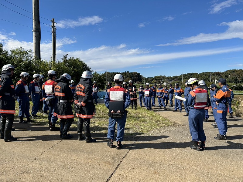 集合している様子