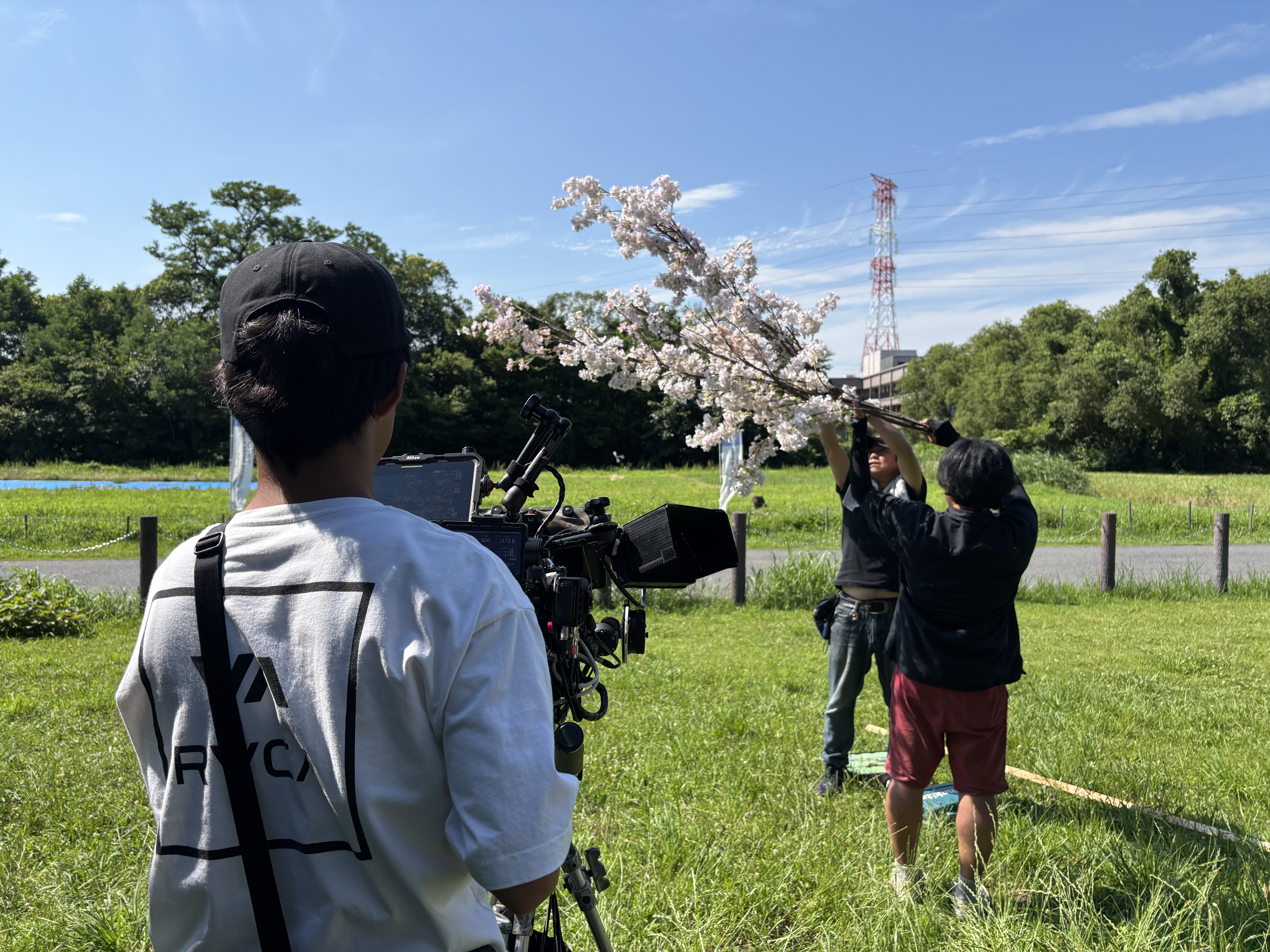 桜の枝をもって撮影する様子