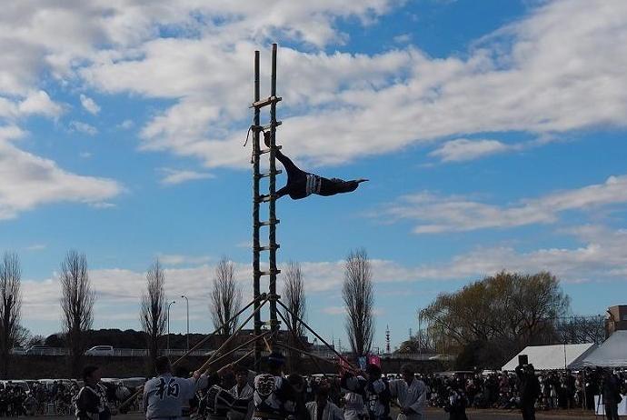 柏若鳶会によるはしご乗り演技