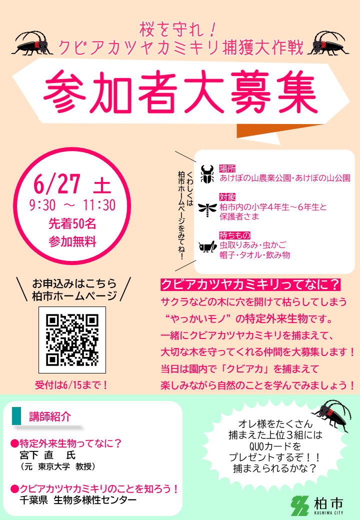 チラシ1