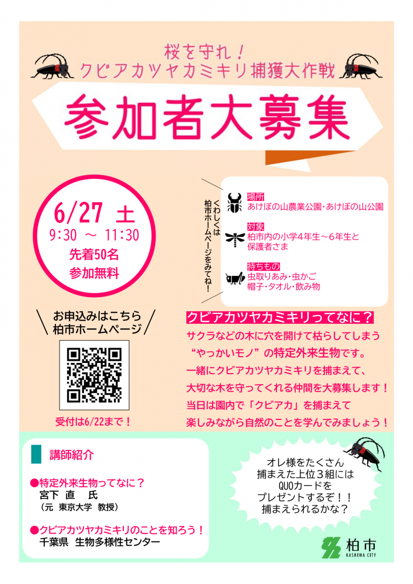 【修正】チラシ１
