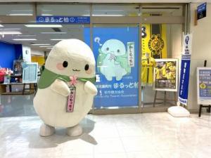 まるっと柏