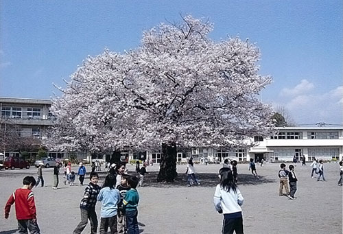 表彰を受けた写真