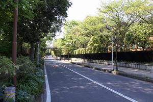麗澤大学前の通り
