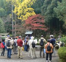 柏歴史クラブの様子1